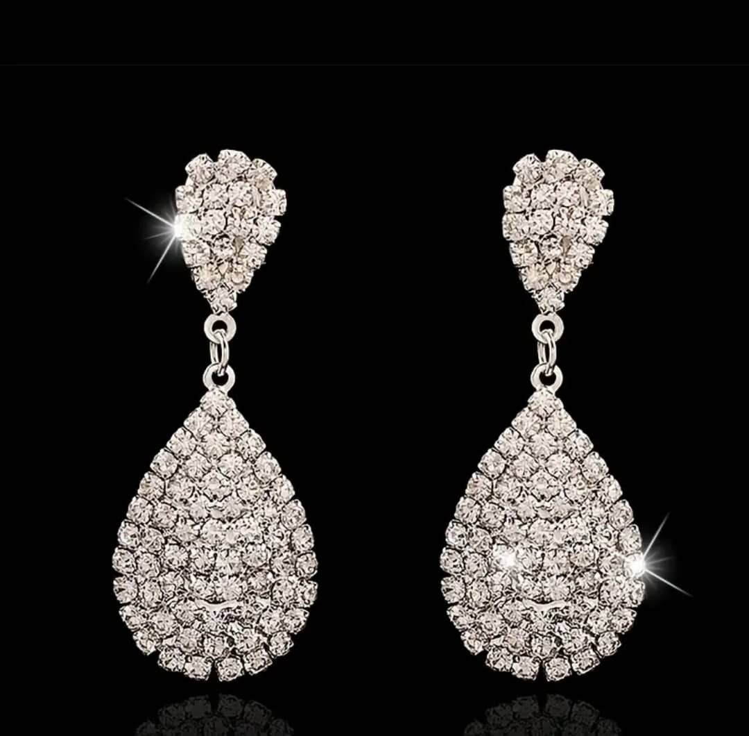 Order Derha Stainless Steel Earrings