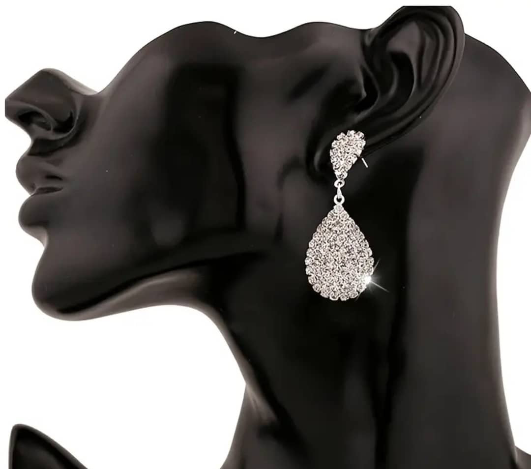 Order Derha Stainless Steel Earrings