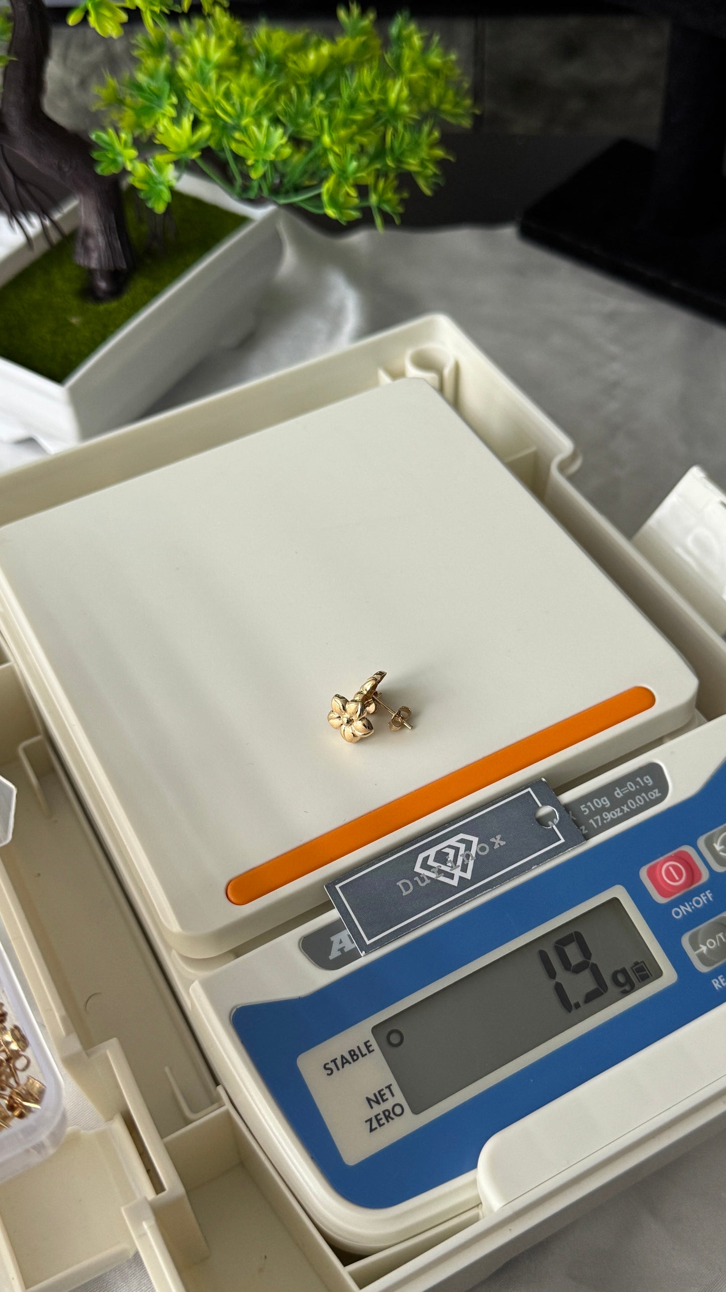 18K Solid Gold Star Stud Earrings | 1.9g