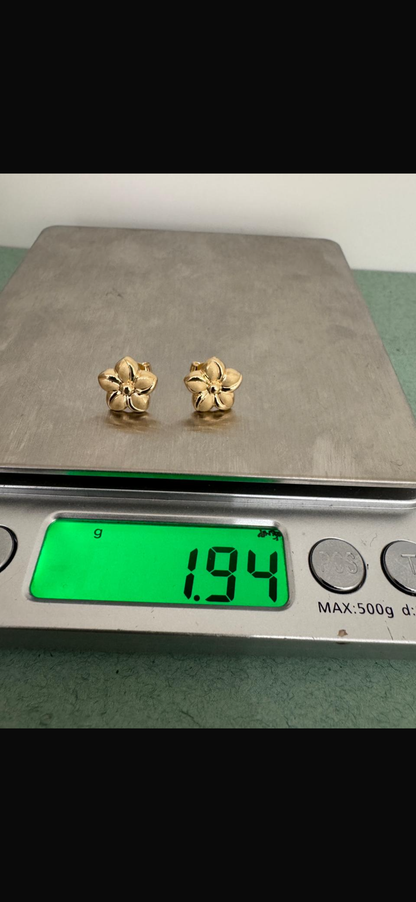 18K Solid Gold Star Stud Earrings | 1.9g