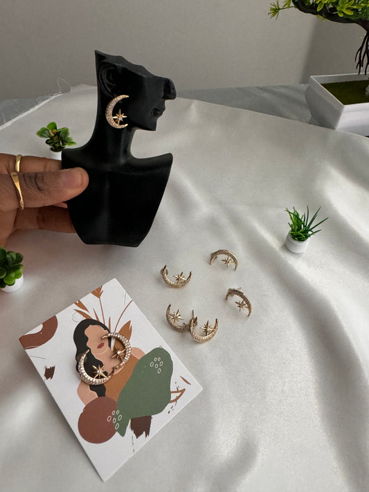 Stainless steel earrings