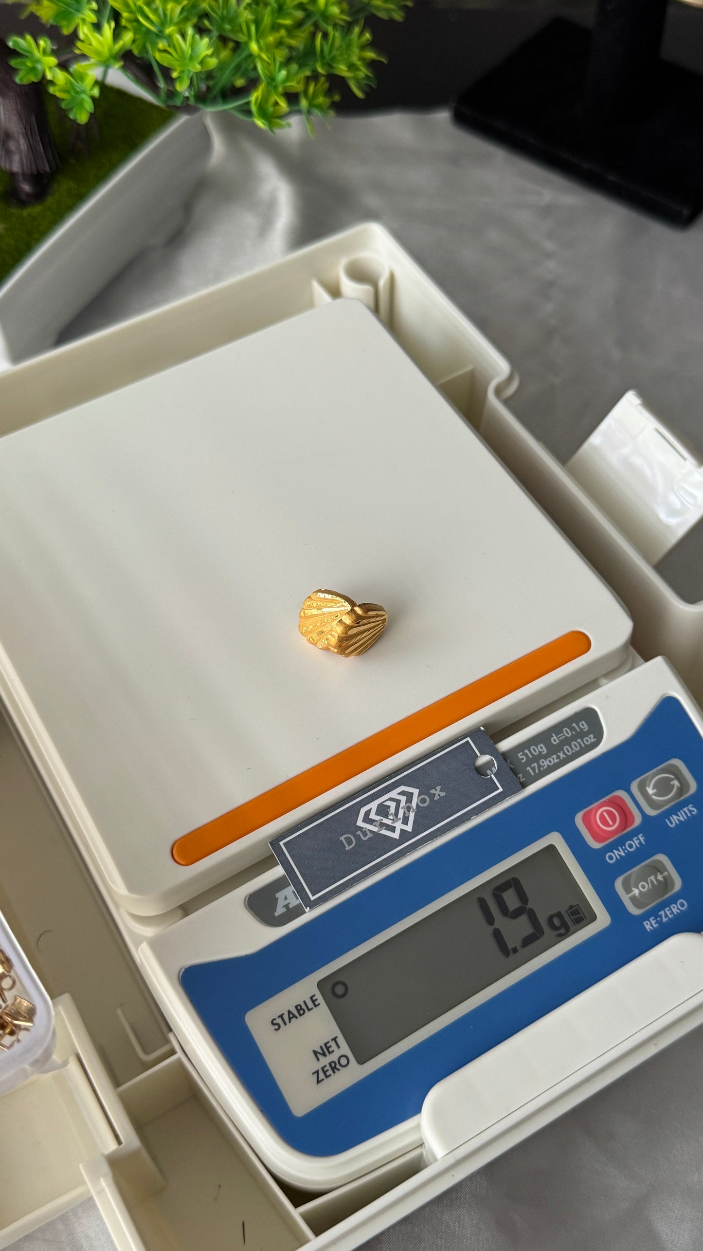 21 Karat Solid Gold Clam Stud Earrings | 1.9g