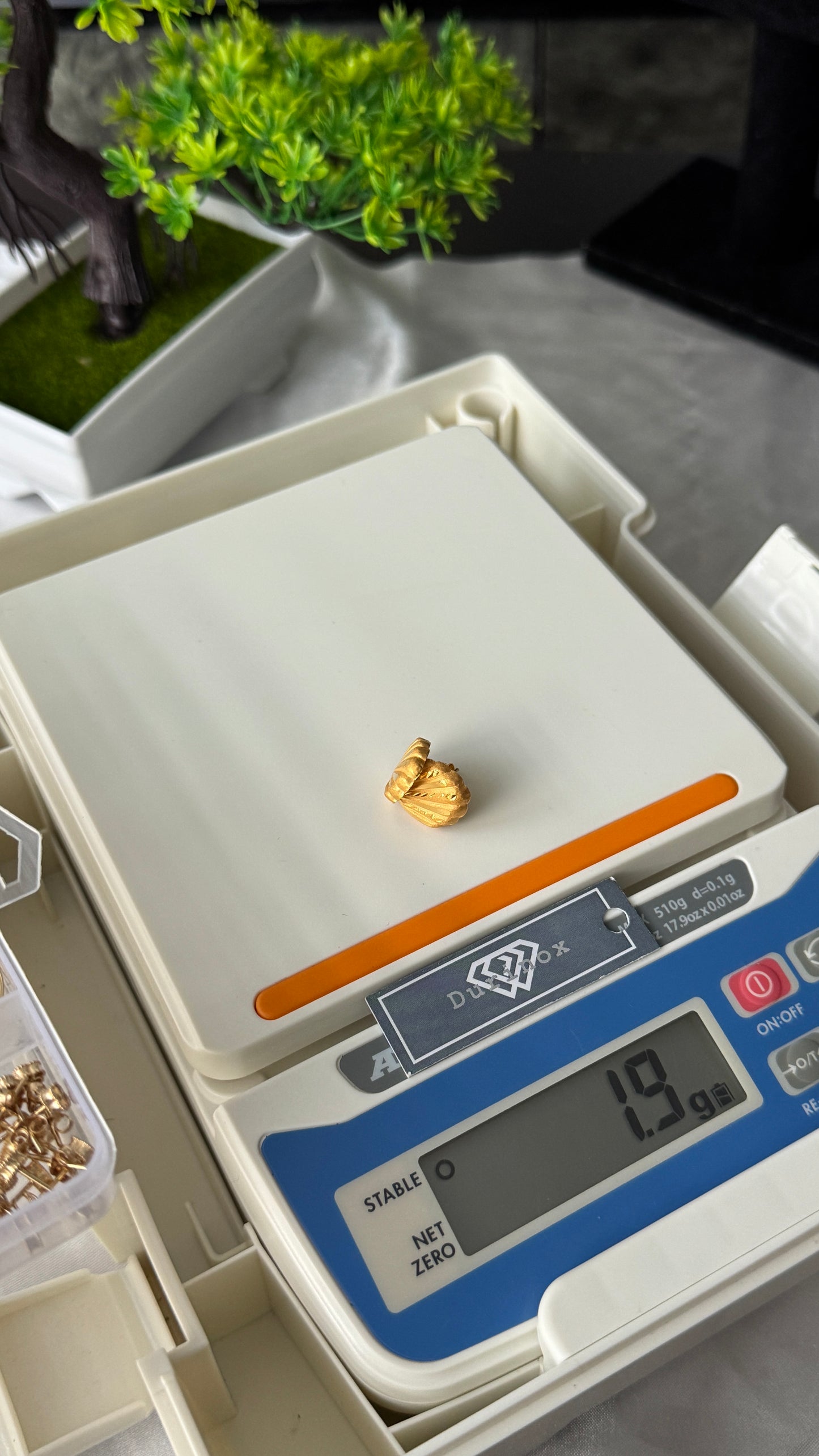 21 Karat Solid Gold Clam Stud Earrings | 1.9g