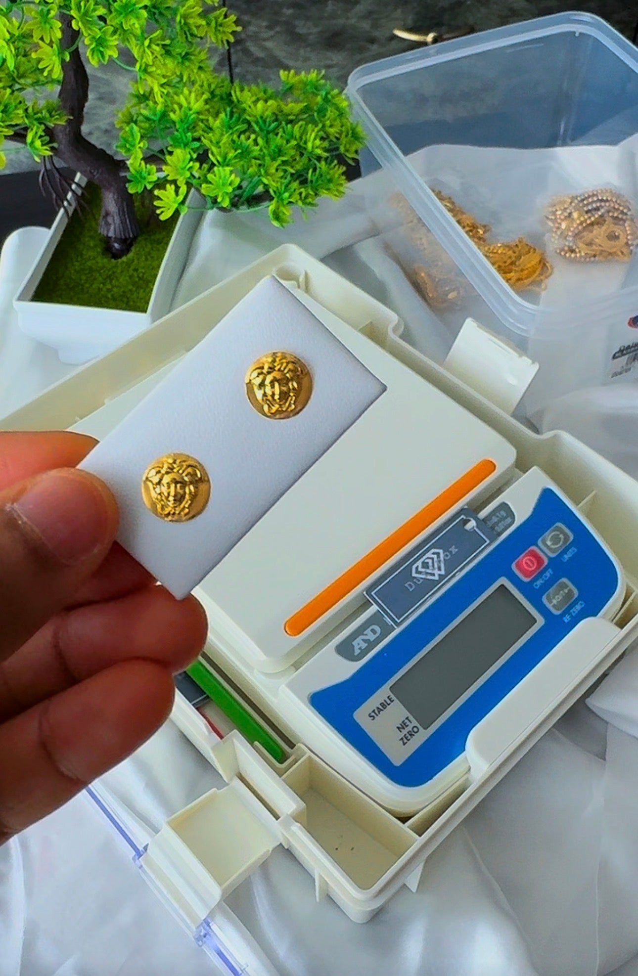 18 Karat Solid Gold Screw Stud Earrings