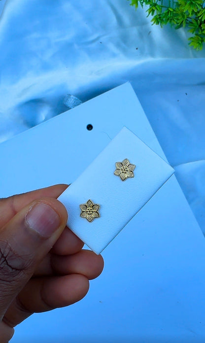 18 Karat Solid Gold Screw Stud Earrings