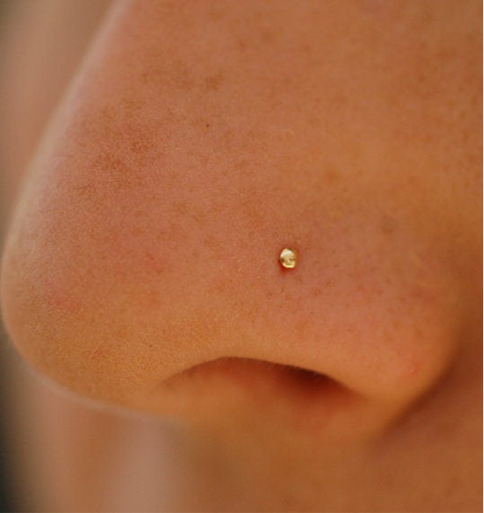 Order Donos Surgical Grade Super Double Electroplated Stainless Steel Nose Stud Piercing