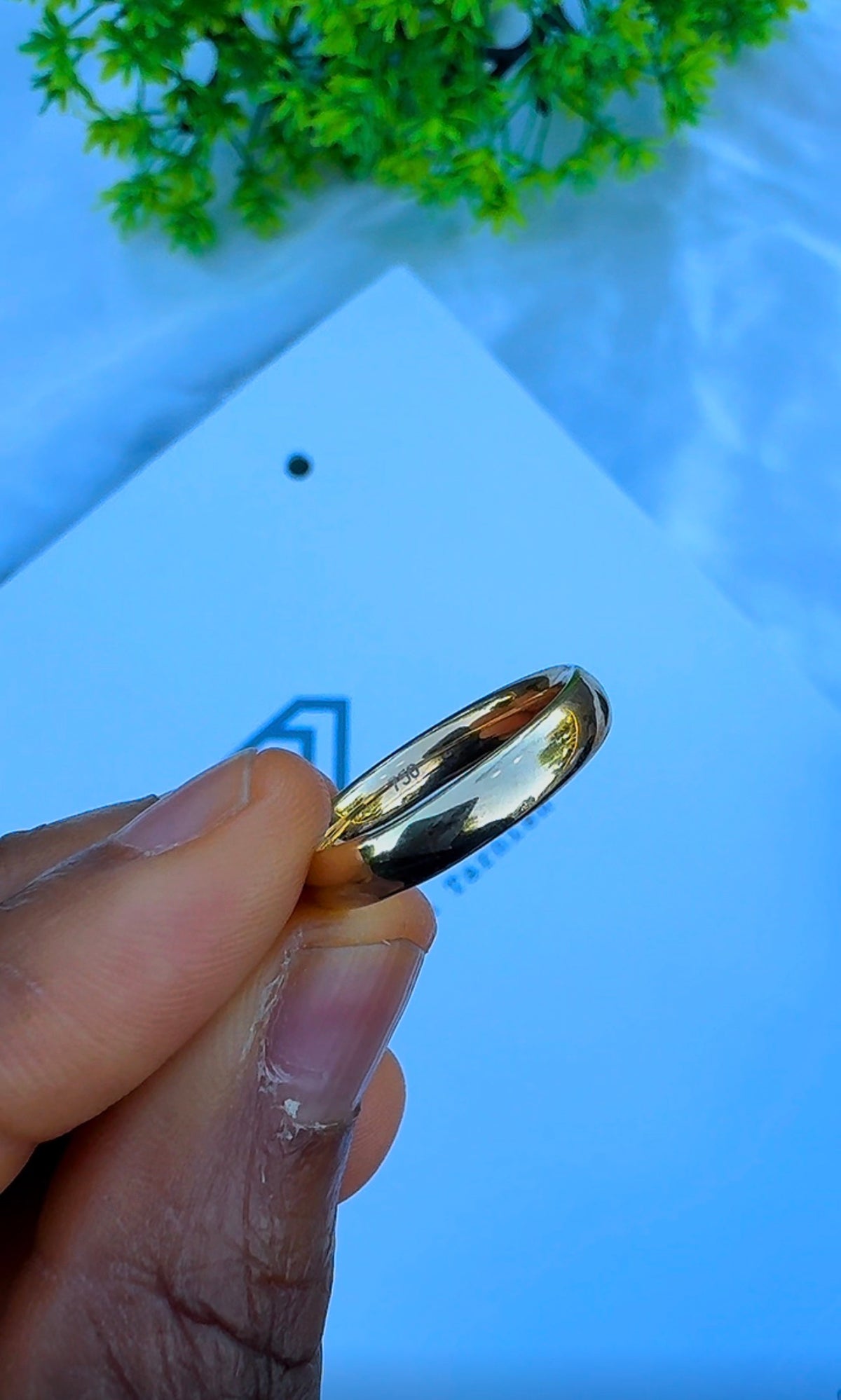 18 Karat Solid Gold Classic Unisex Band | Shiny | 1.5mm & 3mm | 2.3-3.2g | US Sizes 8-11