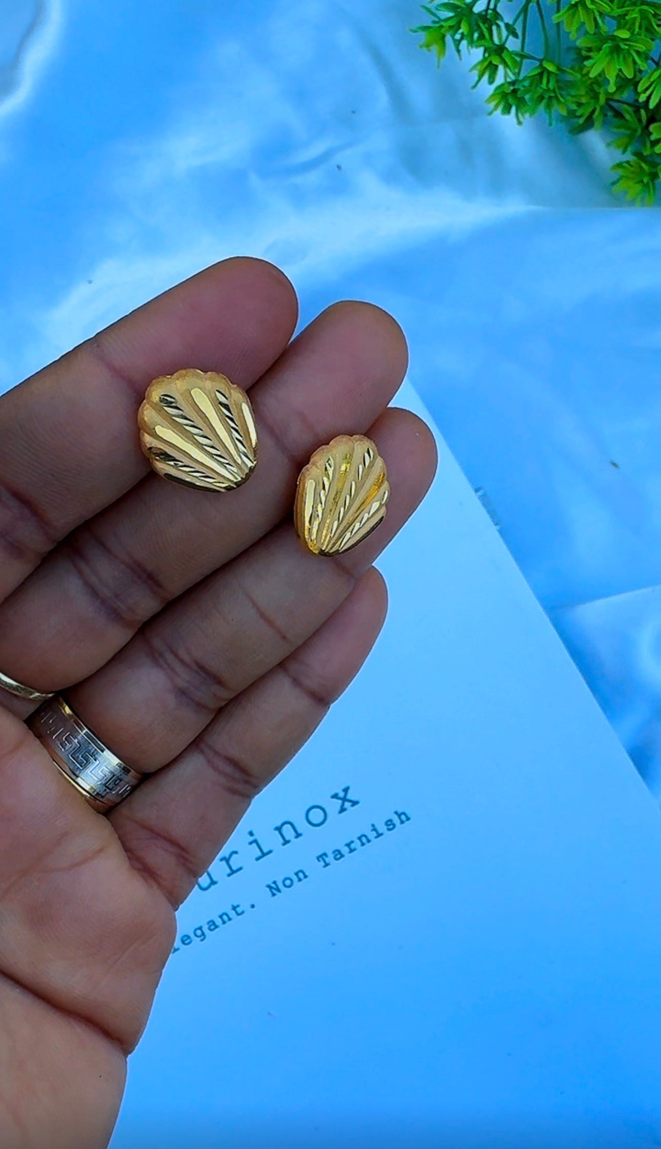 21 Karat Solid Gold Clam Stud Earrings | 1.9g